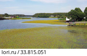 Кубышки на реке Митюш в Бурмистрово / Aerial video of siberian river Miltyush covered by Nuphar flowers. Burmistrovo, Siberia, Russia (2020 год). Стоковое видео, видеограф Сергей Пристяжнюк (Serg Zastavkin) / Фотобанк Лори