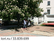 Музыкальный дворик, цветущий каштан (2019 год). Редакционное фото, фотограф Марина Шатерова / Фотобанк Лори