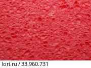 Cellulose foam sponge. Стоковое фото, фотограф Nataliia Zhekova / Фотобанк Лори