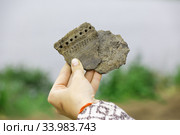 Pieces of ancient clay vessel in the hand of an archaeologist. Стоковое фото, фотограф Круглов Олег / Фотобанк Лори