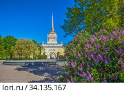 Цветущая сирень на фоне Адмиралтейства. Санкт-Петербург (2020 год). Редакционное фото, фотограф Сергей Афанасьев / Фотобанк Лори