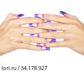 Hands with blue french acrylic nails manicure and painting. Стоковое фото, фотограф Сергей Пристяжнюк (Serg Zastavkin) / Фотобанк Лори
