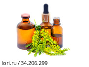 Донник лекарственный (Melilotus officinalis). Бутылки с настойкой, экстрактом  цветами донника на белом фоне. Стоковое фото, фотограф Татьяна Белова / Фотобанк Лори
