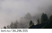 Video of fast moving fog wisps of fog in the mountains near the Altai village of Manzherok. Altai, Russia (2020 год). Стоковое видео, видеограф Сергей Пристяжнюк (Serg Zastavkin) / Фотобанк Лори