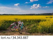 Велосипед в рапсовом поле (2020 год). Редакционное фото, фотограф Литвяк Игорь / Фотобанк Лори