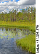 Summer landscapes. Picturesque forest boggy lake. Finnish Lapland. Стоковое фото, фотограф Валерия Попова / Фотобанк Лори