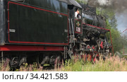 Советский грузовой паровоз Л-2198 в движении августовским днем. Рускеала, Карелия (2020 год). Редакционное видео, видеограф Виктор Карасев / Фотобанк Лори