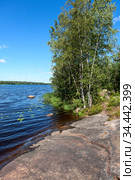Stony lake shore with green trees, the Saimaa Canal is near the Vyborg town, Russia. Vertical image. Стоковое фото, фотограф Кекяляйнен Андрей / Фотобанк Лори