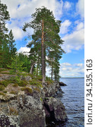 Karelian landscape - rocks, pine trees and water. Lake Keret, Northern Karelia, Russia. Стоковое фото, фотограф Сергей Трофименко / Фотобанк Лори