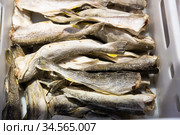 Navaga stockfish in a container on the market. Стоковое фото, фотограф Яков Филимонов / Фотобанк Лори