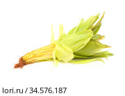 Ear of young sweetcorn isolated on white background. Стоковое фото, фотограф Tamara Kulikova / Фотобанк Лори