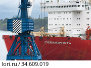 Russian cargo container ship nuclear-powered icebreaker Sevmorput Corporation Atomflot or Rosatomflot. Container terminal commercial seaport. Pacific Ocean (2019 год). Редакционное фото, фотограф А. А. Пирагис / Фотобанк Лори