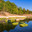 Forest on the shores of the Baltic Sea. Стоковое фото, фотограф Дмитрий Тищенко / Фотобанк Лори