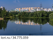 Москва, Митинский ландшафтный парк, Пенягинский пруд (2020 год). Стоковое фото, фотограф glokaya_kuzdra / Фотобанк Лори