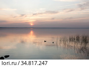 Закат на Плещеевом озере, мягкие краски. Солнце садится в воду. Стоковое фото, фотограф Наталья Николаева / Фотобанк Лори