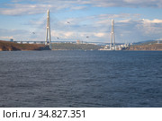 Вид с острова Русский на мост через пролив Босфор Восточный. Владивосток, Россия (2020 год). Стоковое фото, фотограф Галина / Фотобанк Лори