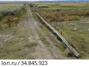 Wooden footbridge through the reeds over flood-meadow. Kartal Eco Park, Orlovka village, Reni raion, Odessa oblast, Ukraine, Eastern Europe (2020 год). Стоковое фото, фотограф Некрасов Андрей / Фотобанк Лори