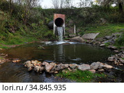 Падает вода из толстой трубы. Плотина на речке Березовка. Стоковое фото, фотограф Анатолий Матвейчук / Фотобанк Лори