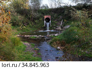 Падает вода из трубы. Плотина на речке Березовка. Стоковое фото, фотограф Анатолий Матвейчук / Фотобанк Лори