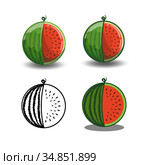Red ripe watermelon vector isolated on white background. Стоковое фото, фотограф Эльвира Рахманова / Фотобанк Лори