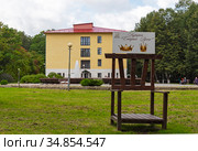Шуточный трон. Курортный парк. Старая Русса, Новгородская область (2020 год). Редакционное фото, фотограф Александр Щепин / Фотобанк Лори