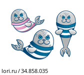 A funny cheerful sailor seal in a vest. Baby vector illustration. Стоковая иллюстрация, иллюстратор Эльвира Рахманова / Фотобанк Лори