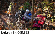 A man with his kid riding ATVs in the forest on a bumpy track - autumn season. Стоковое видео, видеограф Константин Шишкин / Фотобанк Лори