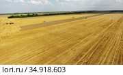 Agricultural land after harvest crop, aerial view at wheat field, farm machinery and green lands. Russia. Стоковое видео, видеограф Кекяляйнен Андрей / Фотобанк Лори