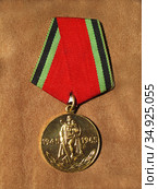 Медаль "Двадцать лет Победы в Великой Отечественной войне 1941-1945 г.г." (2020 год). Редакционное фото, фотограф Мария Кылосова / Фотобанк Лори