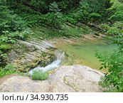 Река Курджипс. Гуамское ущелье, Адыгея (2020 год). Редакционное фото, фотограф Мария Кылосова / Фотобанк Лори