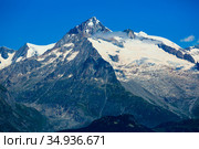 Scenic view of the mountain top Aiguille Verte. Western Alps. Стоковое фото, фотограф Яков Филимонов / Фотобанк Лори