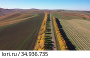 Aerial drone video of flight over country road and agricultural fields after harvest at autumn time. Altai Krai, Russia. Стоковое видео, видеограф Сергей Пристяжнюк (Serg Zastavkin) / Фотобанк Лори