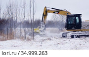 Расчистка земельных участков от кустарника. Кусторез Promac 36 BT RSMDC на базе CAT312 DL в работе. Clearing of land plots from bushes. Promac 36 BT RSMDC brush cutter mount on CAT312 DL at work. (2016 год). Редакционное видео, видеограф Евгений Романов / Фотобанк Лори
