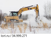 Расчистка земельных участков от кустарника. Кусторез Promac 36 BT RSMDC на базе CAT312 DL в работе. Clearing of land plots from bushes. Promac 36 BT RSMDC brush cutter mount on CAT312 DL at work. Стоковое фото, фотограф Евгений Романов / Фотобанк Лори