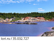 Island where gulls nest in the middle of a lake in an old kaolin quarry. Стоковое фото, фотограф Евгений Харитонов / Фотобанк Лори