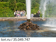Менажерный фонтан. Петергоф, Санкт-Петербург (2012 год). Редакционное фото, фотограф Александр Щепин / Фотобанк Лори