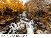 Autumn view of the Bolshoy Ilgumen river at its confluence with river the Katun. Altai Republic, Russia. Стоковое фото, фотограф Наталья Волкова / Фотобанк Лори