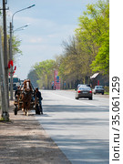 Кингисеппское шоссе. Гужевой транспорт (2008 год). Редакционное фото, фотограф Александр Щепин / Фотобанк Лори