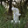 A copy of the sculpture "A boy pulling a splinter", Nikitsky Botanical Garden (2017 год). Редакционное фото, фотограф Александр Карпенко / Фотобанк Лори