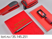 Красные аксессуары для офиса крупным планом: степлер, дырокол, блокнот, лупа, справочник и авторучка. Стоковое фото, фотограф Максим Мицун / Фотобанк Лори