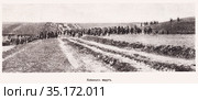 Пленных ведут. Иллюстрация из журнала "Нива" 1916 года. Стоковая иллюстрация, иллюстратор Макаров Алексей / Фотобанк Лори