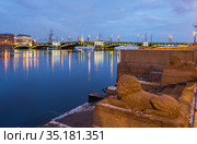 Россия. Санкт-Петербург. Львы Набережная Макарова и Биржевой мост (2021 год). Редакционное фото, фотограф Литвяк Игорь / Фотобанк Лори