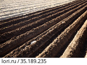 Plowed soil with furrows. Стоковое фото, фотограф Яков Филимонов / Фотобанк Лори