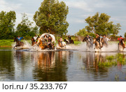 Reconstruction of the life of cowboys in the Wild West during the colonization of North America, Moscow region, Russia (2014 год). Редакционное фото, фотограф Наталья Волкова / Фотобанк Лори