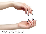 Female hands with black nails manicure isolated on white background. Стоковое фото, фотограф Сергей Пристяжнюк (Serg Zastavkin) / Фотобанк Лори