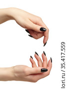 Female hands with black nails manicure isolated on white background. Стоковое фото, фотограф Сергей Пристяжнюк (Serg Zastavkin) / Фотобанк Лори
