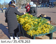 Женщина покупает мимозу в канун 8 Марта. Калининград (2021 год). Редакционное фото, фотограф Ирина Борсученко / Фотобанк Лори