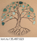 Transitory art arrangement - tree drawn on craft paper and and assortment of seaglass collected on beaches of Gran Canaria, representing seasonal change. Стоковая иллюстрация, иллюстратор Tamara Kulikova / Фотобанк Лори