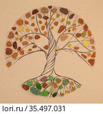 Transitory art arrangement - tree drawn on craft paper and and assortment of seaglass collected on beaches of Gran Canaria, representing seasonal change. Стоковая иллюстрация, иллюстратор Tamara Kulikova / Фотобанк Лори