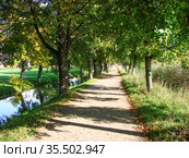 Аллея вдоль Самсониевского водовода. Петергоф. Санкт-Петербург (2011 год). Стоковое фото, фотограф Сергей Афанасьев / Фотобанк Лори